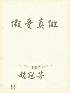 假爱真做