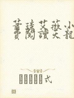 萧琰艾薇小说免费阅读天龙殿