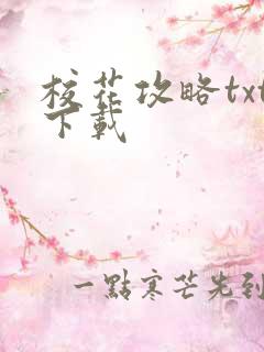 校花攻略txt下载