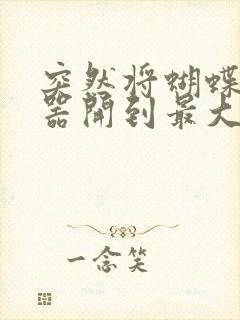 突然将蝴蝶遥控器开到最大