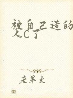 被自己造的机器人C了