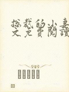 总裁的小妻子全文免费阅读