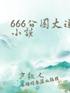 666公园大道小说