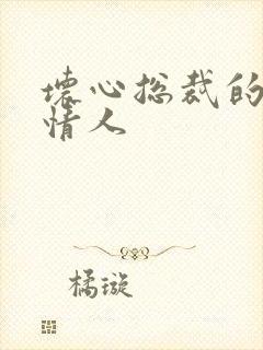 坏心总裁的女佣情人