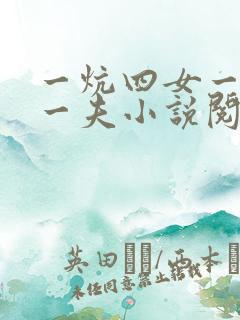 一炕四女一共侍一夫小说阅读