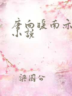 唐向暖南亦琛的小说