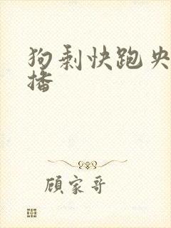 狗剩快跑央八首播