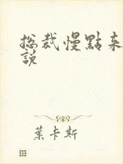 总裁慢点来 小说