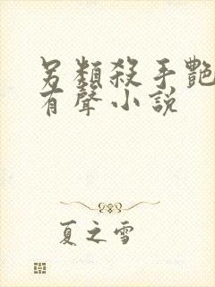 另类杀手艳福星有声小说