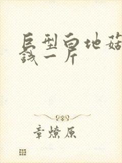 巨型白地菇多少钱一斤