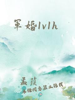 军婚1v1h