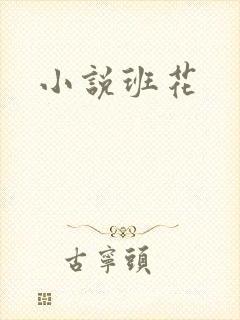 小说班花