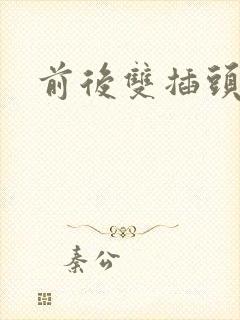 前后双插头互攻