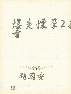 爆炎怀孕2在线看