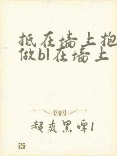 抵在墙上抱起来做bl在墙上