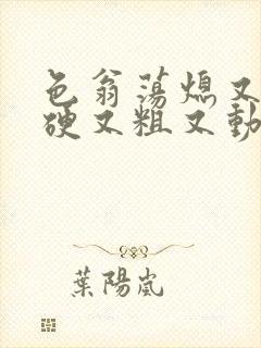 色翁荡熄又大又硬又粗又动态图