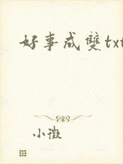 好事成双txt