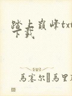 踏上巅峰txt下载