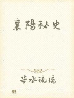 襄阳秘史