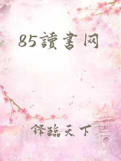 85读书网