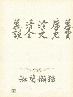 慕清泠席慕深小说全文免费阅读