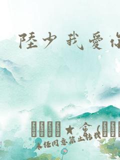 陆少 我爱你