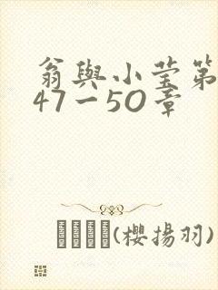 翁与小莹第十部47一5O章