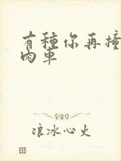 有种你再撞一下肉车