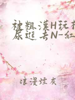 被粗汉H玩松了尿进去N-红-Q