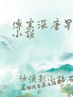 傅寒深唐星挽的小说