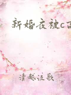 新婚夜被c高h