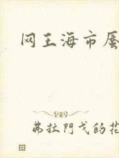 网王海市蜃楼