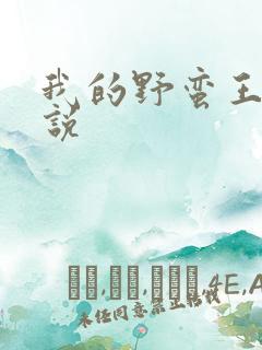 我的野蛮王妃小说