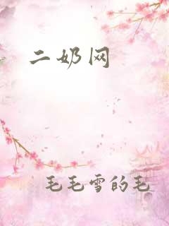 二奶网