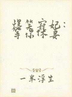 爆笑宠妃：爷我等你休妻