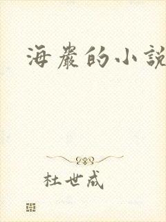 海岩的小说