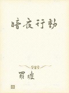 暗夜行动