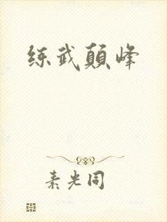 练武颠峰