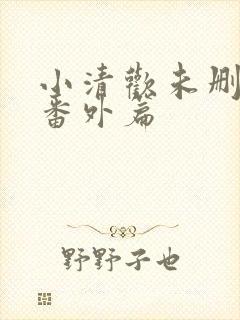 小清欢未删减版番外篇