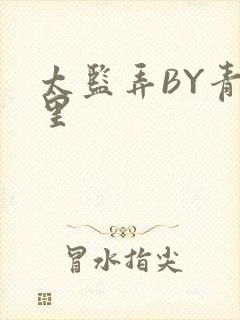 太监弄BY青镜里