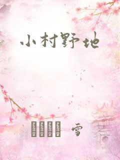 小村野地