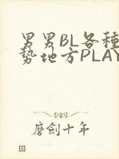 男男BL各种姿势地方PLAY文