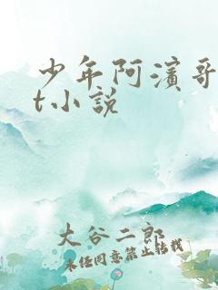 少年阿滨哥txt小说