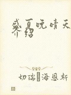 盛夏晚晴天剧情介绍