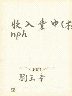 收入囊中(校园nph