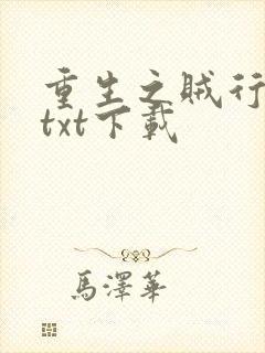 重生之贼行天下txt下载