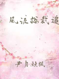 风流总裁追妻记