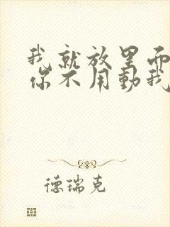 我就放里面不动你不用动我动