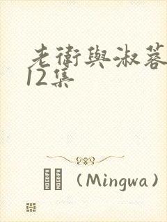 老卫与淑蓉1一12集