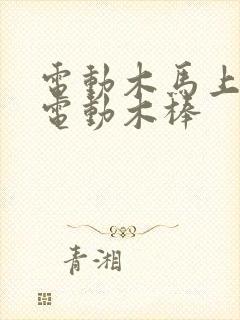 电动木马上两个电动木棒